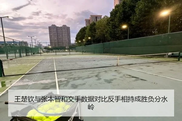 王楚钦与张本智和交手数据对比反手相持成胜负分水岭